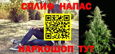 jwh Будённовск